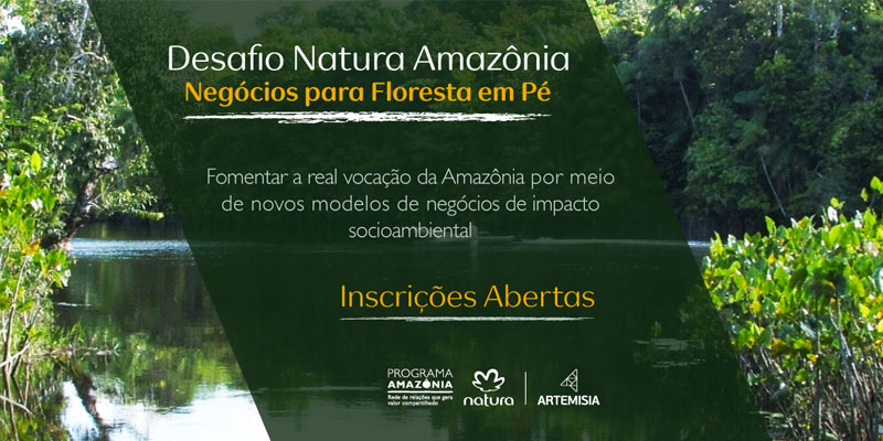 Floresta em Pé -  Natura