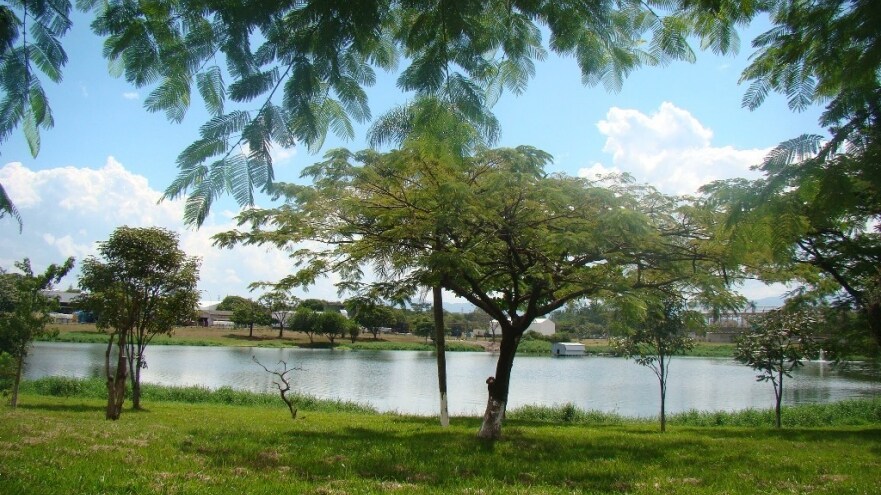 Campo de Provas de Tatuí / Iniciativas ambientais - FORD