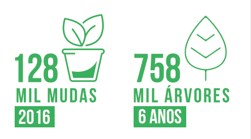 Recuperação e revitalização de entornos - MRV