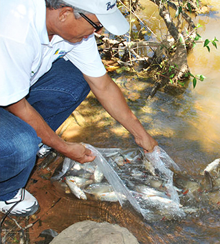 Projeto Peixe N’Água - Nortox