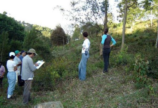 PROGRAMA DE ADEQUAÇÃO AMBIENTAL - Cooxupé