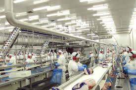 Eficiência Energética - GTFOODS