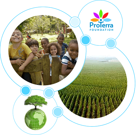 Programas de desenvolvimento social - AFG Brasil