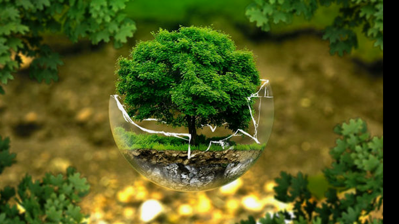 Programa Ecovision de Melhoria Ambiental - LG