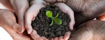Recuperação ambiental - Eurofarma
