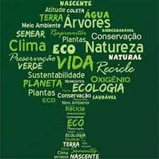 PROGRAMA DE EDUCAÇÃO AMBIENTAL SEMEIA - Duratex