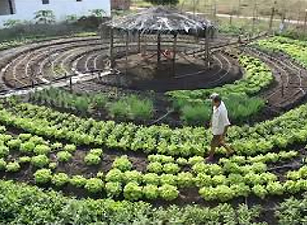 Agricultura
